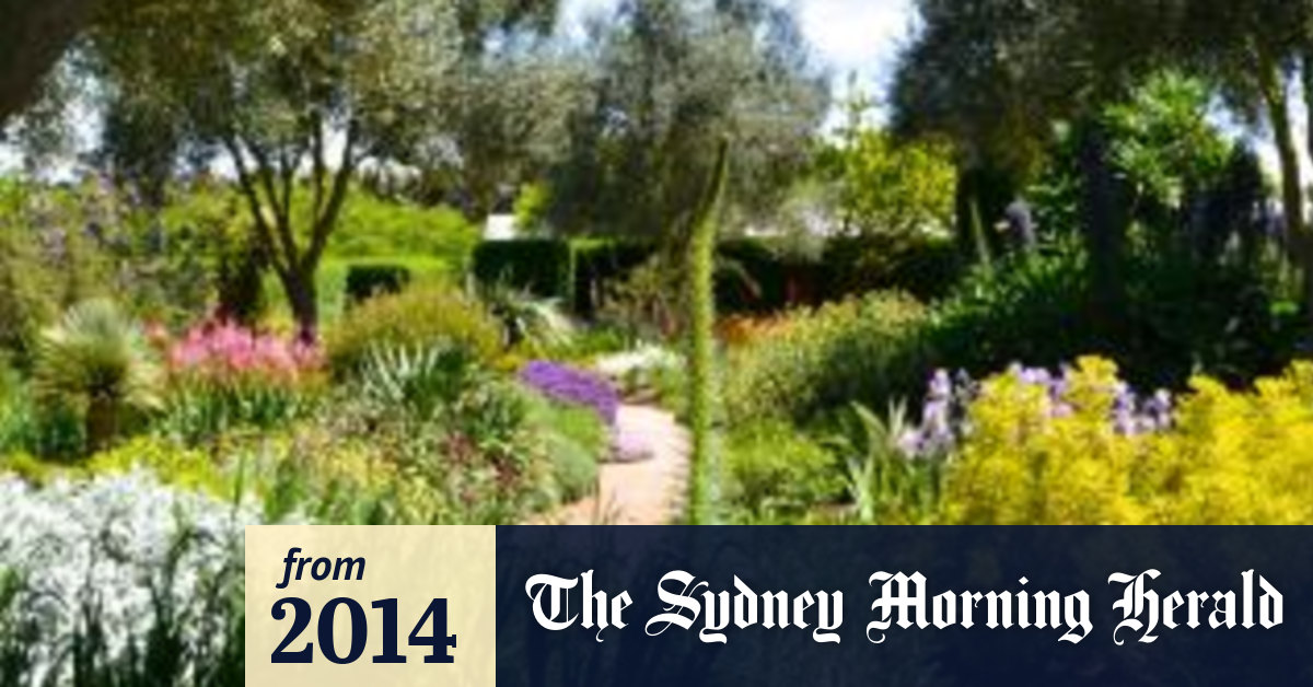 Buying plants online ideal for adding perennials to your garden